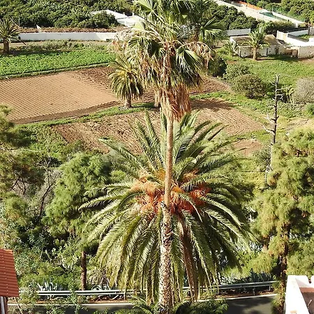 Jazmines * Agaete (Gran Canaria)