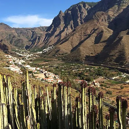 Jazmines Casa de Férias *