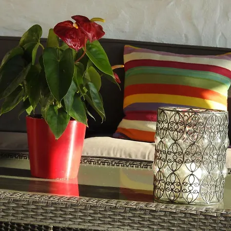 Jazmines Casa de Férias Agaete (Gran Canaria)